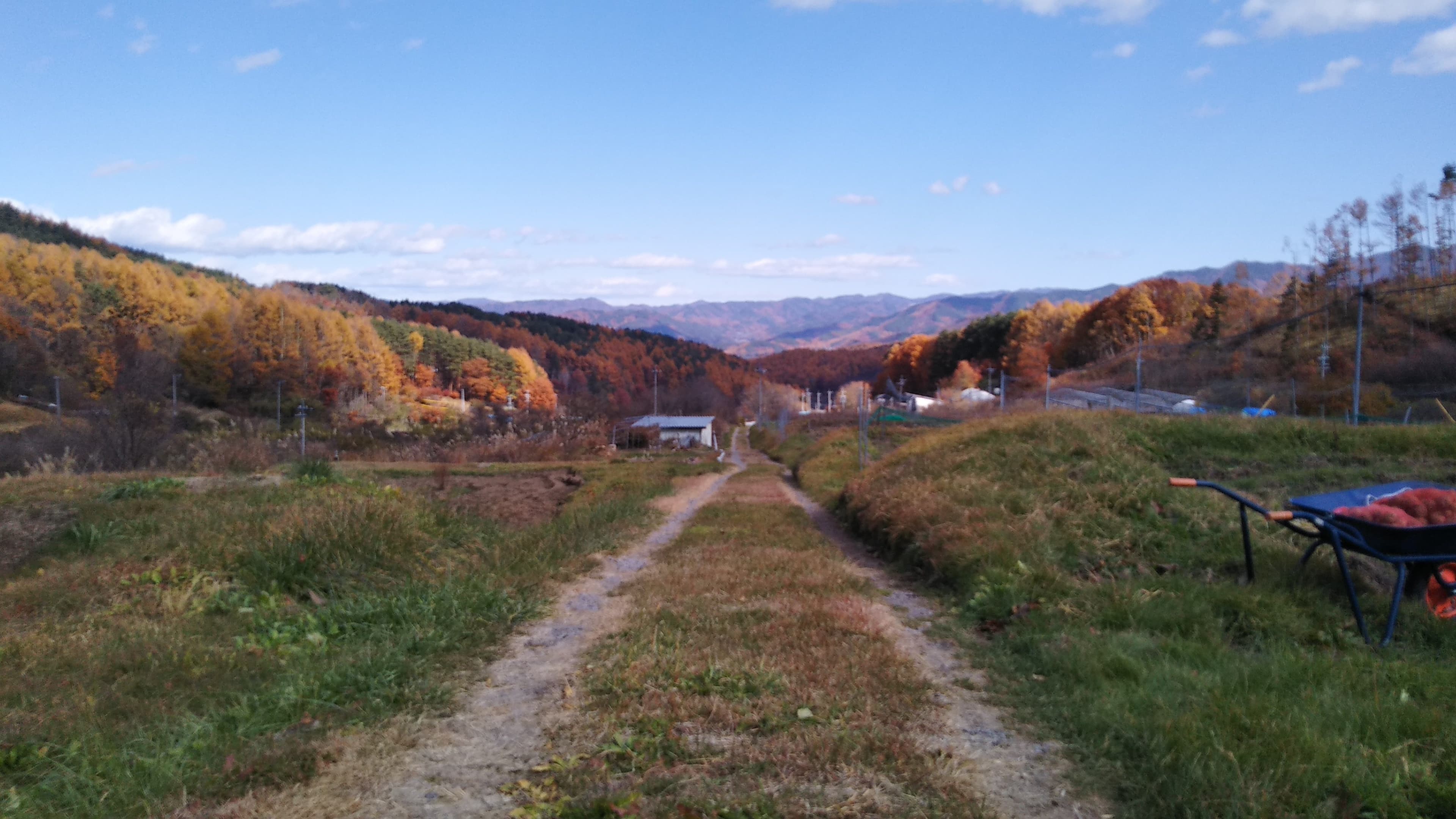 dsc_0536.jpg